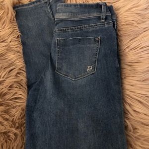 Indigo Rein Jeans